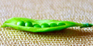What Is Pea Protein?